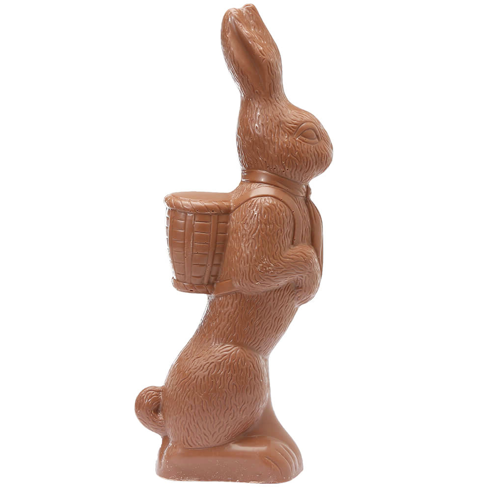 Chocolate Bunny Easter